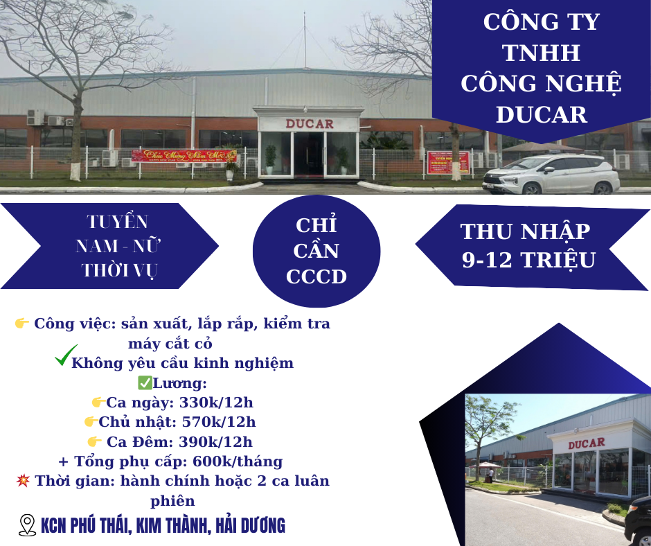 lĩnh vực hoạt động